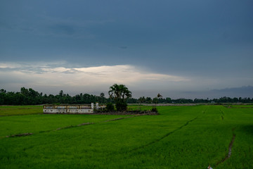 Fototapeta na wymiar House fundations in green field mekong river vietnam