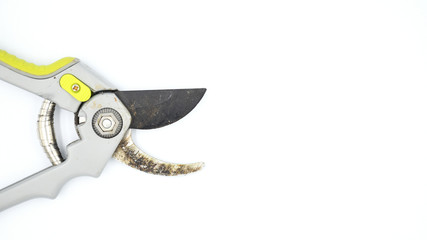 Pruning shears on white background