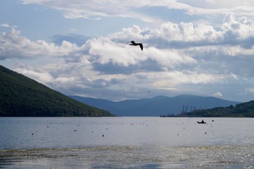 Obraz premium boats on the lake with seagulls