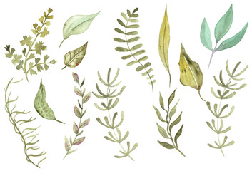 Watercolor Hand Drawn Florals for wedding, wallpaper, paper, fabric, decor, poster, invitations, cards, print, etc.