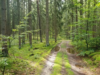 Herbstspaziergang 2019