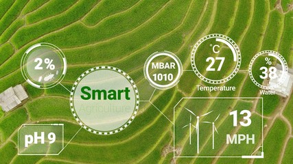 Smart digital agriculture technology by futuristic sensor data collection management by artificial intelligence to control quality of crop growth and harvest. Computer aided plantation grow concept.
