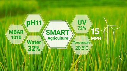 Smart digital agriculture technology by futuristic sensor data collection management by artificial...