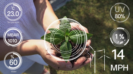 Smart digital agriculture technology by futuristic sensor data collection management by artificial intelligence to control quality of crop growth and harvest. Computer aided plantation grow concept.