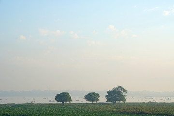 Landscape - nature scene of Big tree on the lake at u bein bridge with sunrise. This place is famous landmark in Mandalay, Burma (Myanmar)