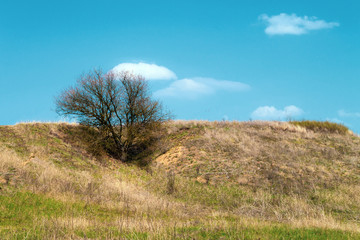 Hills and blue sky