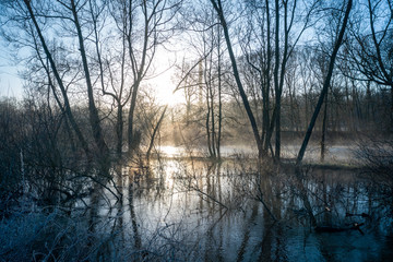 Morning Mist Above River at Winter