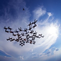 Big skydiving formation at sunset, nimbus cumulus background