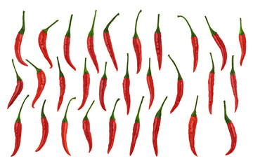 Red chili pepper pods isolated on a white background