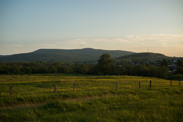 Fototapeta premium grass field russia sky summer