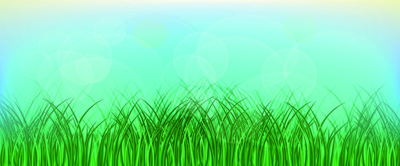 Obraz premium Green grass on blue sky background, card or poster template, spring background