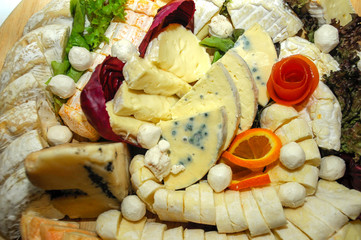 Käseplatte mit verschiedenen Käse Sorten