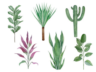 Watercolor hand painted house green plants in flower pots. Set of floral elements isolated on white. Decorative greeny collection perfect for print, poster, card making and scrapbooking design