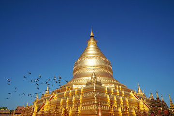Naklejka premium Ancient Shwezigon Pagoda temple is Big golden Ancient pagoda at Bagan , Mandalay , Myanmar is best famous landmark 