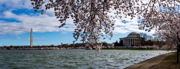 Panoramic view of the lake surrounding National Mall and The Thomas Jefferson Memorial at daytime