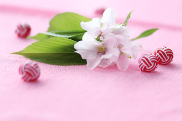 Obraz na płótnie Canvas 正月背景　水引飾りと桜の花（オオシマザクラ）
