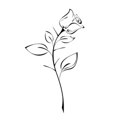 ornament 1091. one stylized rosebud on a stem with leaves and thorns in black lines on a white background