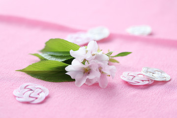 Obraz na płótnie Canvas 正月背景　水引飾りと桜の花（オオシマザクラ）