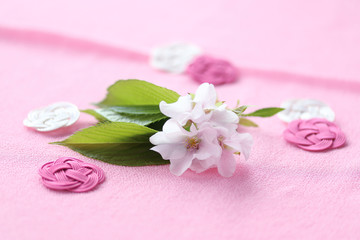 Fototapeta na wymiar 正月背景　水引飾りと桜の花（オオシマザクラ）