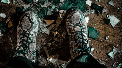 close up of a python