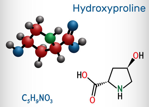 Hydroxyproline , Hyp, C5H9NO3 molecule. It is is a common proteinogenic amino acid and a major component of the protein collagen. Structural chemical formula and molecule model