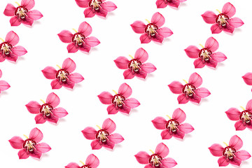 Background of pink orchid flowers on a white background