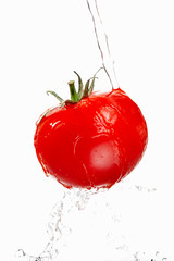 Ripe red tomato in droplets and jets of water, isolate on white.