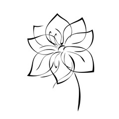 ornament 1094. one stylized blooming flower on a short stalk without leaves in black lines on a white background