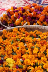 flower, orange, garden, yellow, nature, flowers, marigold, plant, red, food, spring, green, summer, blossom, beautiful, bloom, flora, colorful, beauty, floral, color, closeup, tagetes, bright, plants,