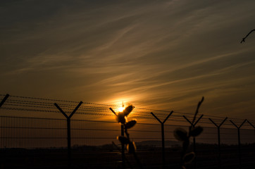 zachód słońca  © wedrownik52