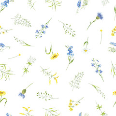 watercolor summer pattern wildflowers, plant, leaves. Meadowflowers