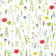 watercolor summer pattern wildflowers, plant, leaves. Meadowflowers