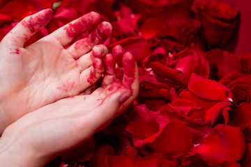Close-up of bloodied female hands lying on red rose petals.
