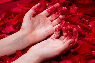 Close-up of bloodied female hands lying on red rose petals.