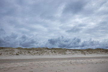 Beach and dunes Julianadorp Netherlands. Northsea coast.