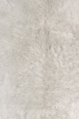 Thick white fur top view