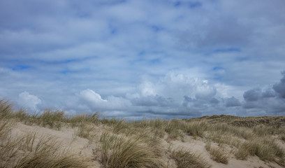Sand structures dunes Julianadorp Netherlands. Northsea coast.