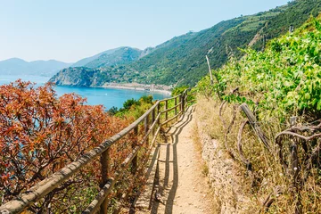 Foto op Plexiglas Azure trail is the most simple, the most famous and most visited trail in all the Cinque Terre © travnikovstudio