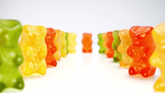Gummib&auml;rchen im Spalier