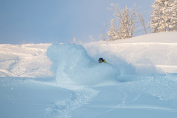 A snowboarder making a powder turn in deep snow on a forest meadow on a sunny morning