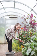   teenage girl in   greenhouse picking  tomatoes