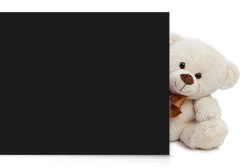Adorable  teddy bear with empty space for commercial use