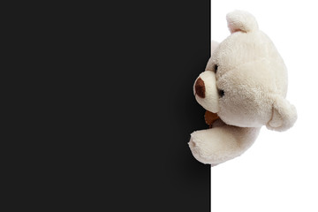 Adorable  teddy bear with empty space for commercial use