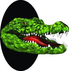 crocodile head portrait green with open mouth green cartoon  peeking out of a black hole vector illustration