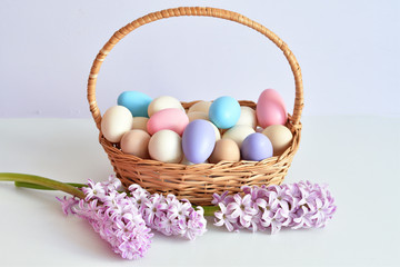 Colorful easter eggs in basket on pastel color background with flowers, copy space.Easter decorations. Easter background with painted eggs with Hyacinth, top view. Spring greeting card