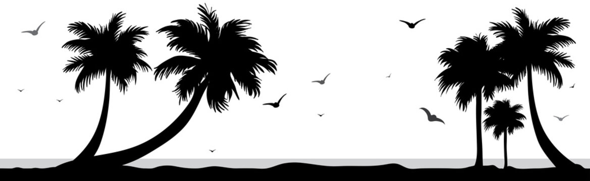 Vector silhouette of palm tree on beach on white background. Symbol of nature and plant.