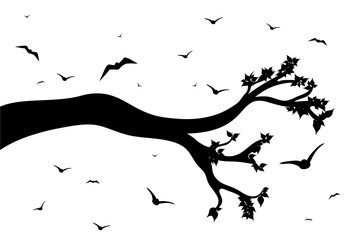 Vector silhouette of branch with flying birds on white background. Symbol of nature.