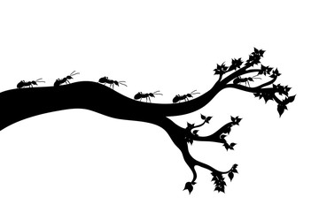 Vector silhouette of branch with ants on white background. Symbol of nature.