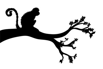 Vector silhouette of branch with monkey on white background. Symbol of nature.