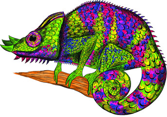 green orange blue yellow chameleon © Снежана Дашкевич